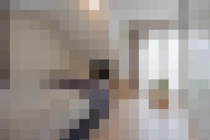 Op den Dries 22 Blitterswijck thumbnail 29