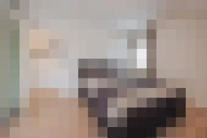 Op den Dries 22 Blitterswijck thumbnail 30