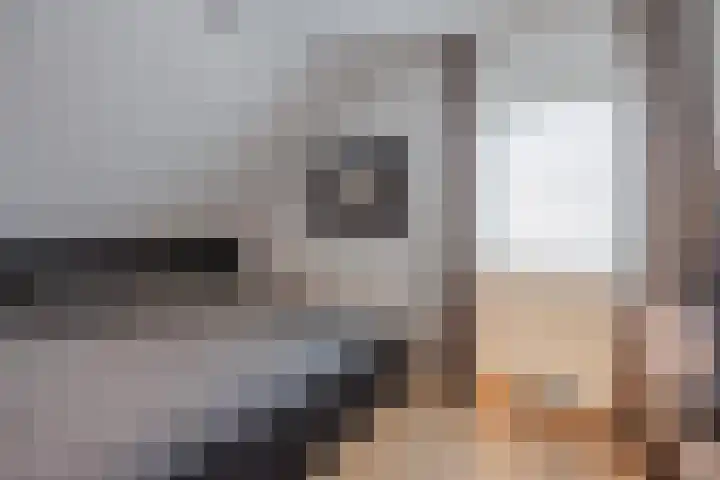 Op den Dries 22 Blitterswijck thumbnail 32