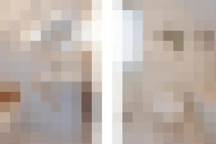 Op den Dries 22 Blitterswijck thumbnail 38