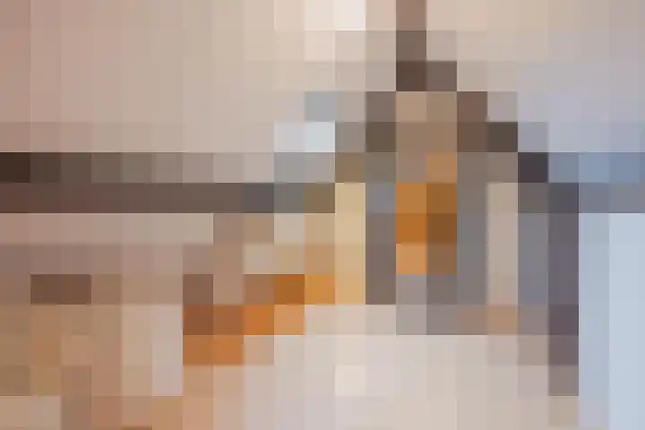 Op den Dries 22 Blitterswijck thumbnail 42