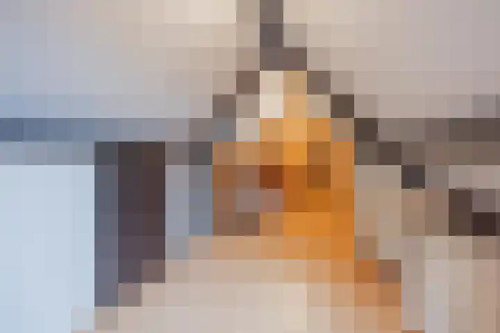Op den Dries 22 Blitterswijck thumbnail 43