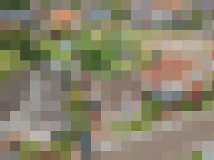 Op den Dries 22 Blitterswijck thumbnail 44