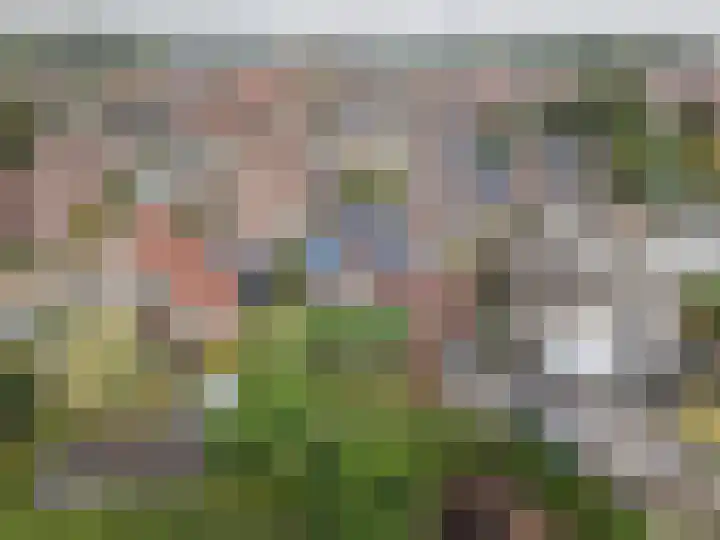 Op den Dries 22 Blitterswijck thumbnail 45