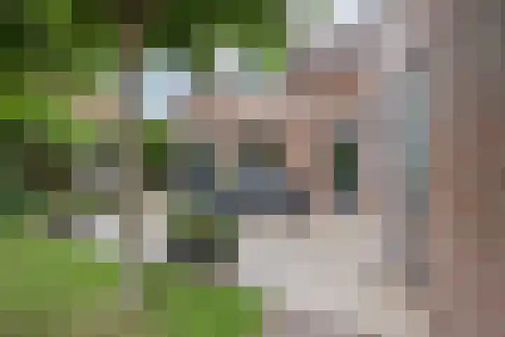 Op den Dries 22 Blitterswijck thumbnail 46