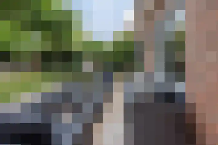 Op den Dries 22 Blitterswijck thumbnail 47