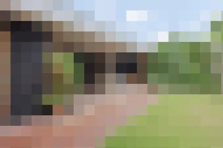 Op den Dries 22 Blitterswijck thumbnail 48