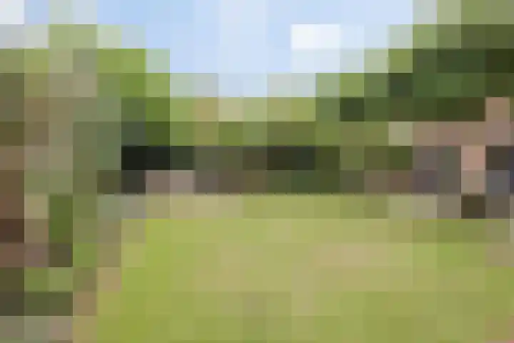 Op den Dries 22 Blitterswijck thumbnail 50