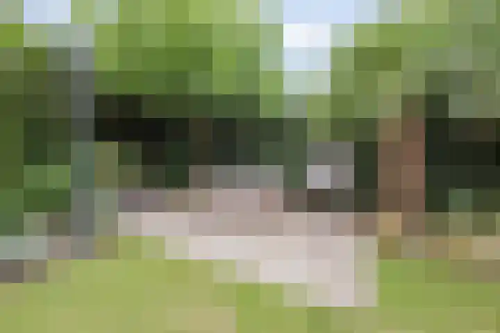 Op den Dries 22 Blitterswijck thumbnail 51