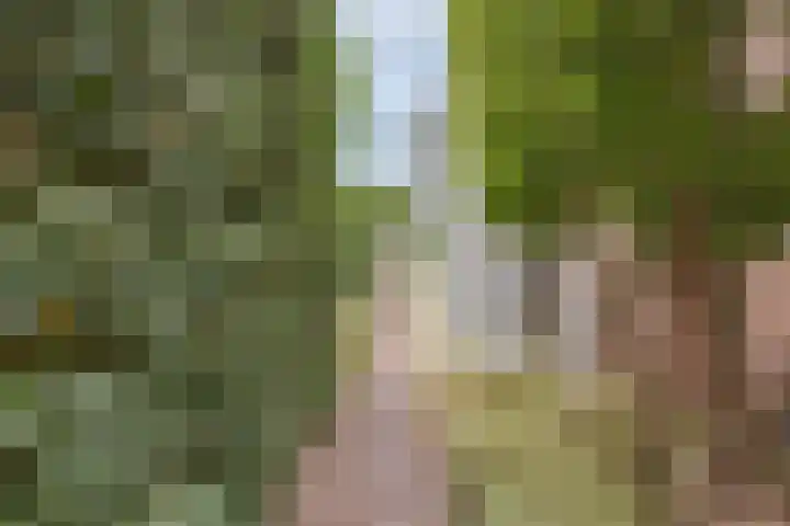 Op den Dries 22 Blitterswijck thumbnail 52