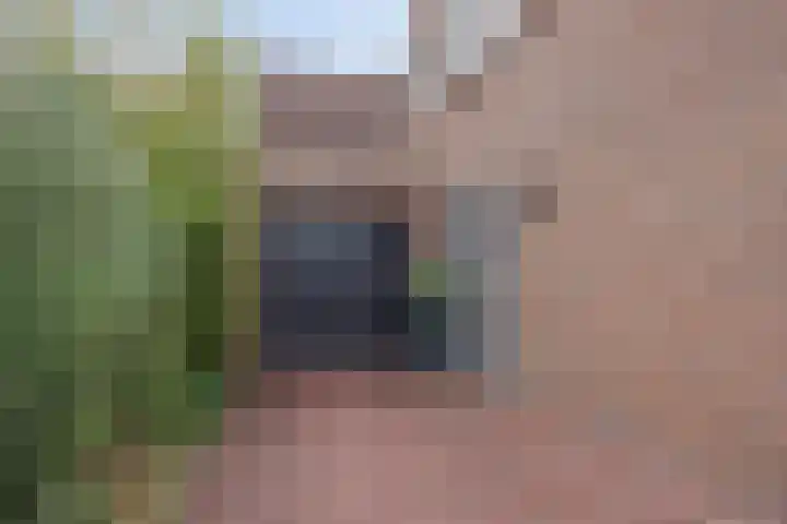 Op den Dries 22 Blitterswijck thumbnail 54