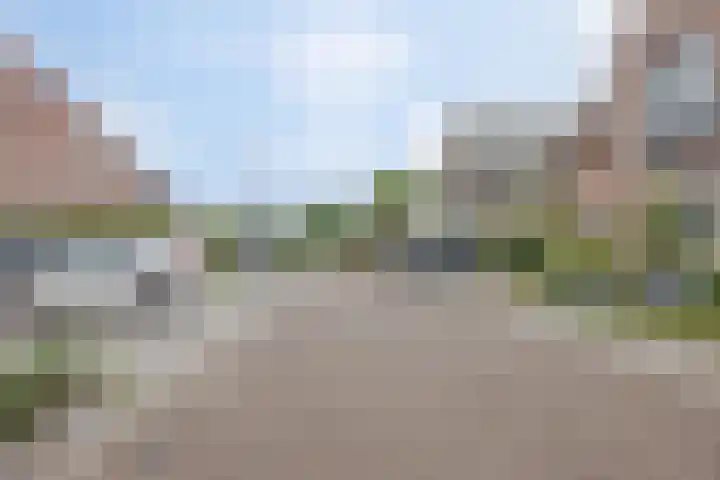 Op den Dries 22 Blitterswijck thumbnail 55
