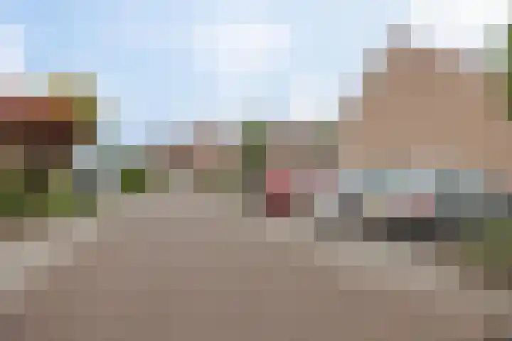 Op den Dries 22 Blitterswijck thumbnail 56