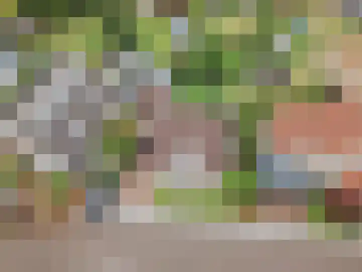 Op den Dries 22 Blitterswijck thumbnail 7