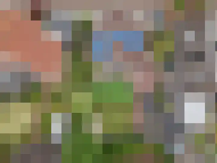 Op den Dries 22 Blitterswijck thumbnail 8