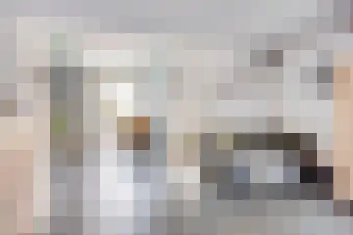 Op den Dries 23 Blitterswijck thumbnail 10