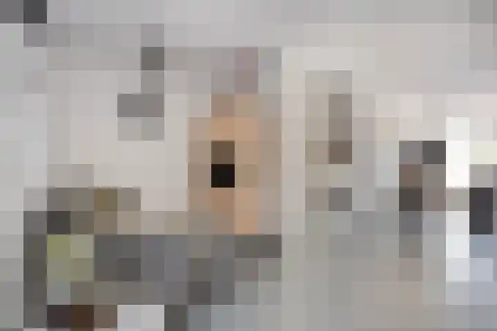 Op den Dries 23 Blitterswijck thumbnail 11