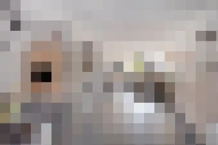 Op den Dries 23 Blitterswijck thumbnail 12