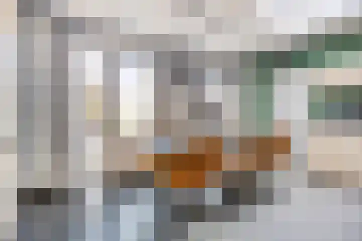 Op den Dries 23 Blitterswijck thumbnail 13