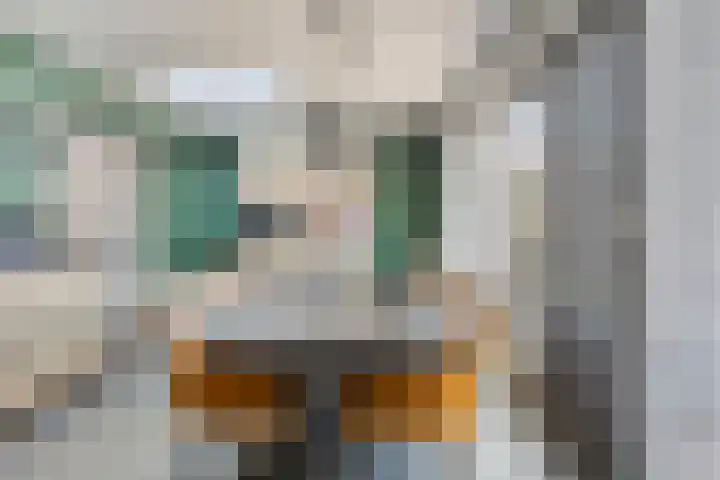 Op den Dries 23 Blitterswijck thumbnail 16