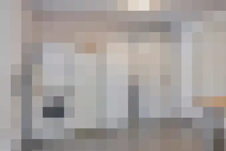 Op den Dries 23 Blitterswijck thumbnail 17