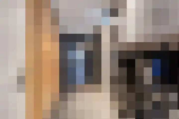 Op den Dries 23 Blitterswijck thumbnail 18
