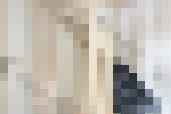 Op den Dries 23 Blitterswijck thumbnail 19