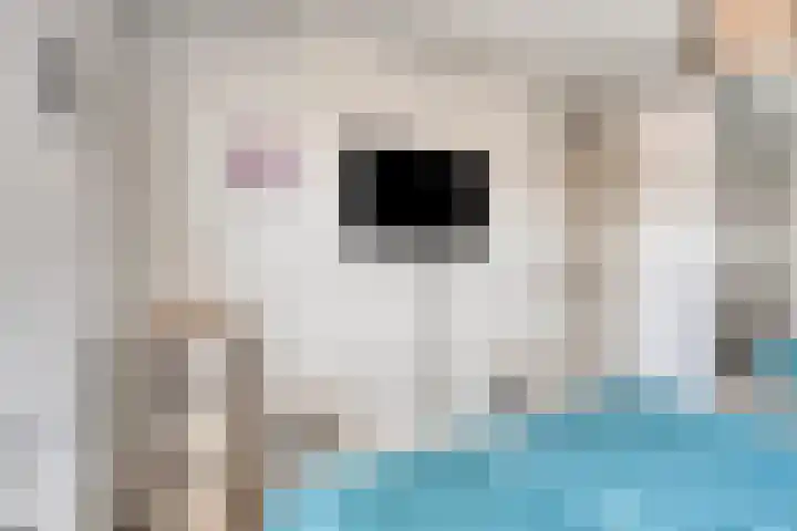 Op den Dries 23 Blitterswijck thumbnail 21