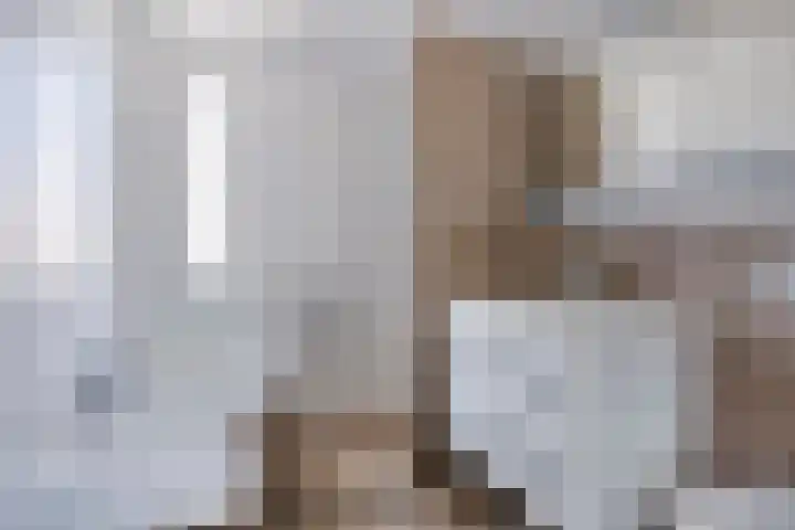 Op den Dries 23 Blitterswijck thumbnail 22