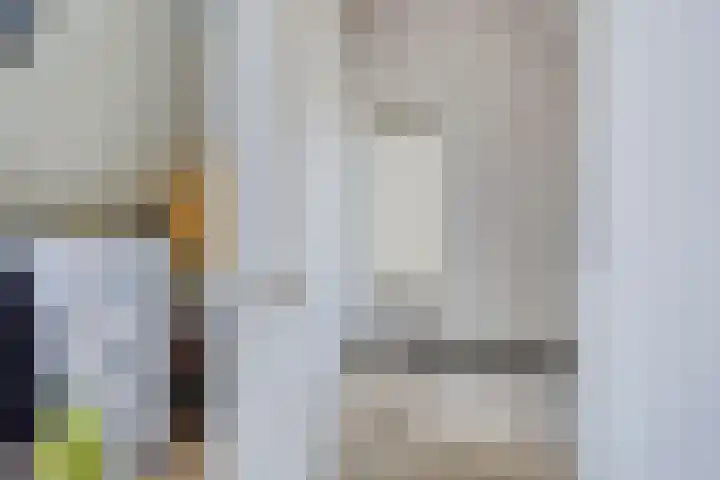 Op den Dries 23 Blitterswijck thumbnail 26