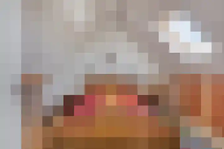 Op den Dries 23 Blitterswijck thumbnail 27