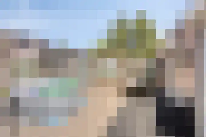 Op den Dries 23 Blitterswijck thumbnail 29
