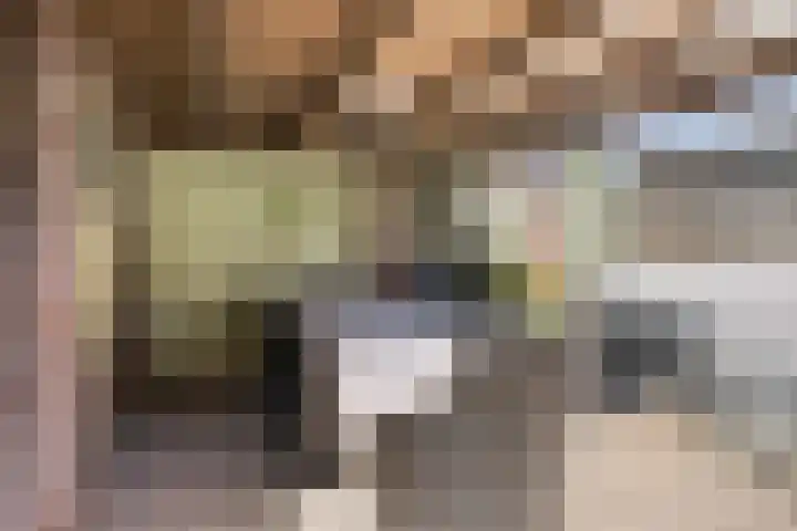 Op den Dries 23 Blitterswijck thumbnail 31