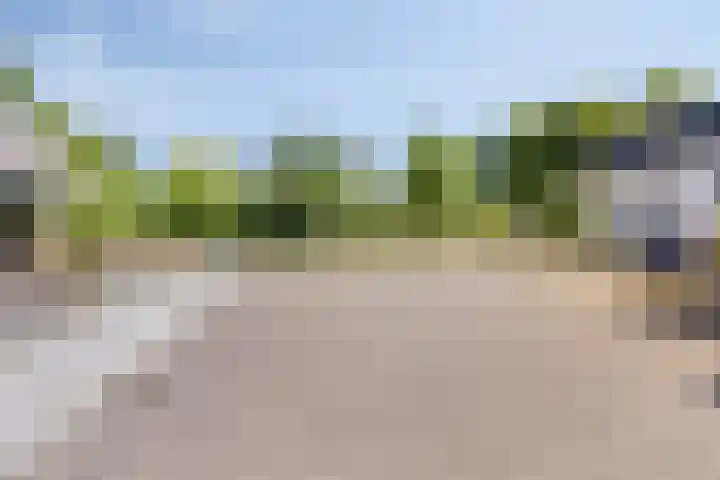 Op den Dries 23 Blitterswijck thumbnail 36