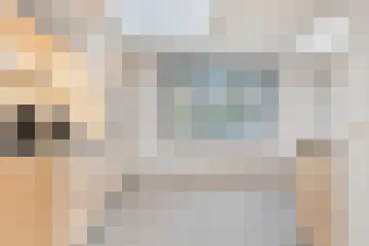 Op den Dries 3 Blitterswijck thumbnail 10