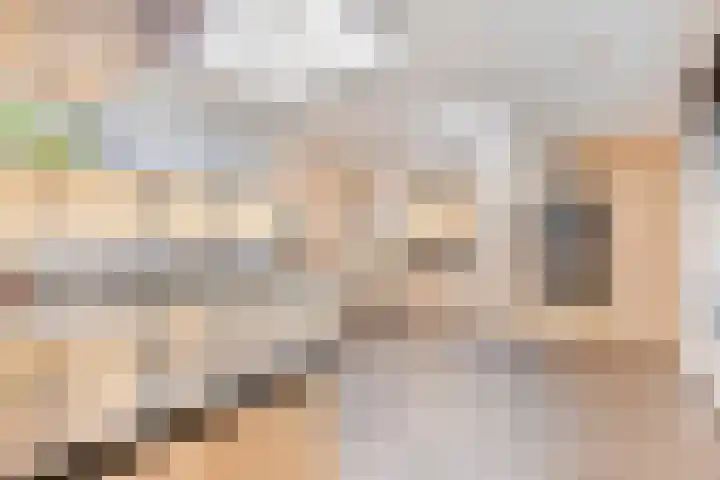 Op den Dries 3 Blitterswijck thumbnail 12