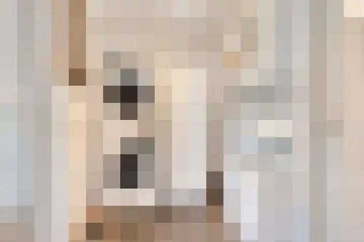 Op den Dries 3 Blitterswijck thumbnail 14