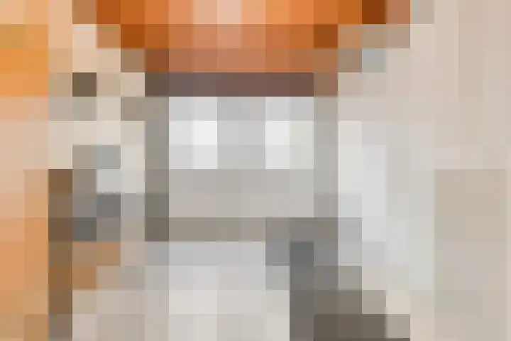 Op den Dries 3 Blitterswijck thumbnail 15