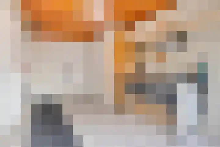 Op den Dries 3 Blitterswijck thumbnail 16