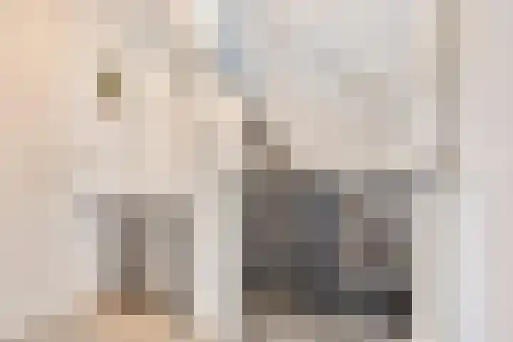 Op den Dries 3 Blitterswijck thumbnail 17