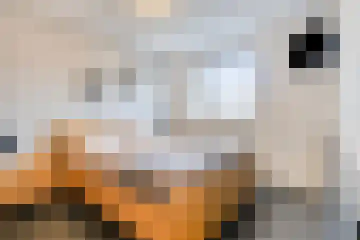 Op den Dries 3 Blitterswijck thumbnail 18