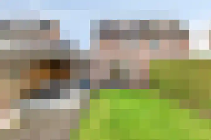 Op den Dries 3 Blitterswijck foto 2