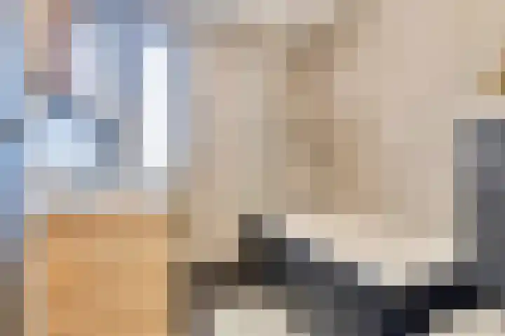 Op den Dries 3 Blitterswijck thumbnail 22