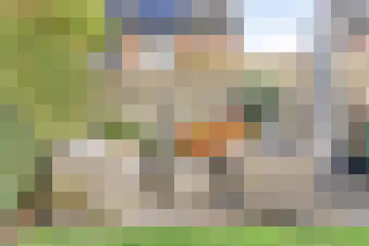 Op den Dries 3 Blitterswijck thumbnail 27