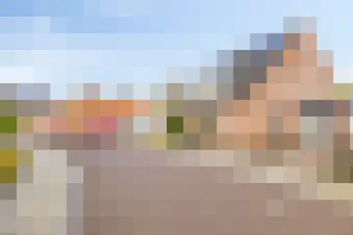 Op den Dries 3 Blitterswijck thumbnail 29