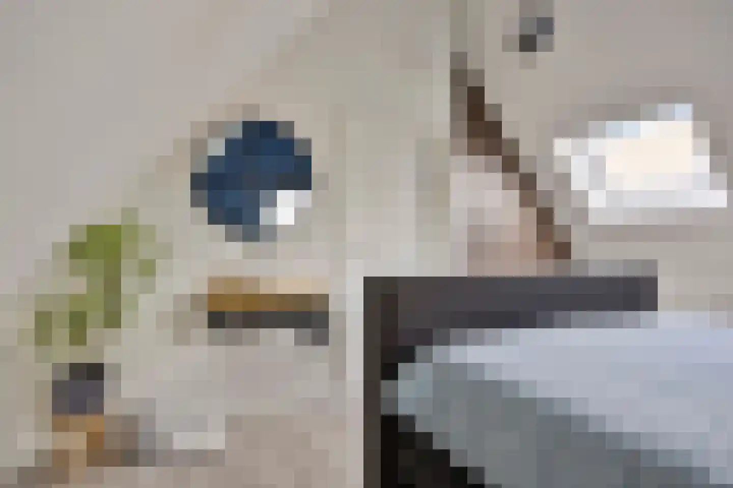 op den Duyn 31 Hoogerheide thumbnail 34
