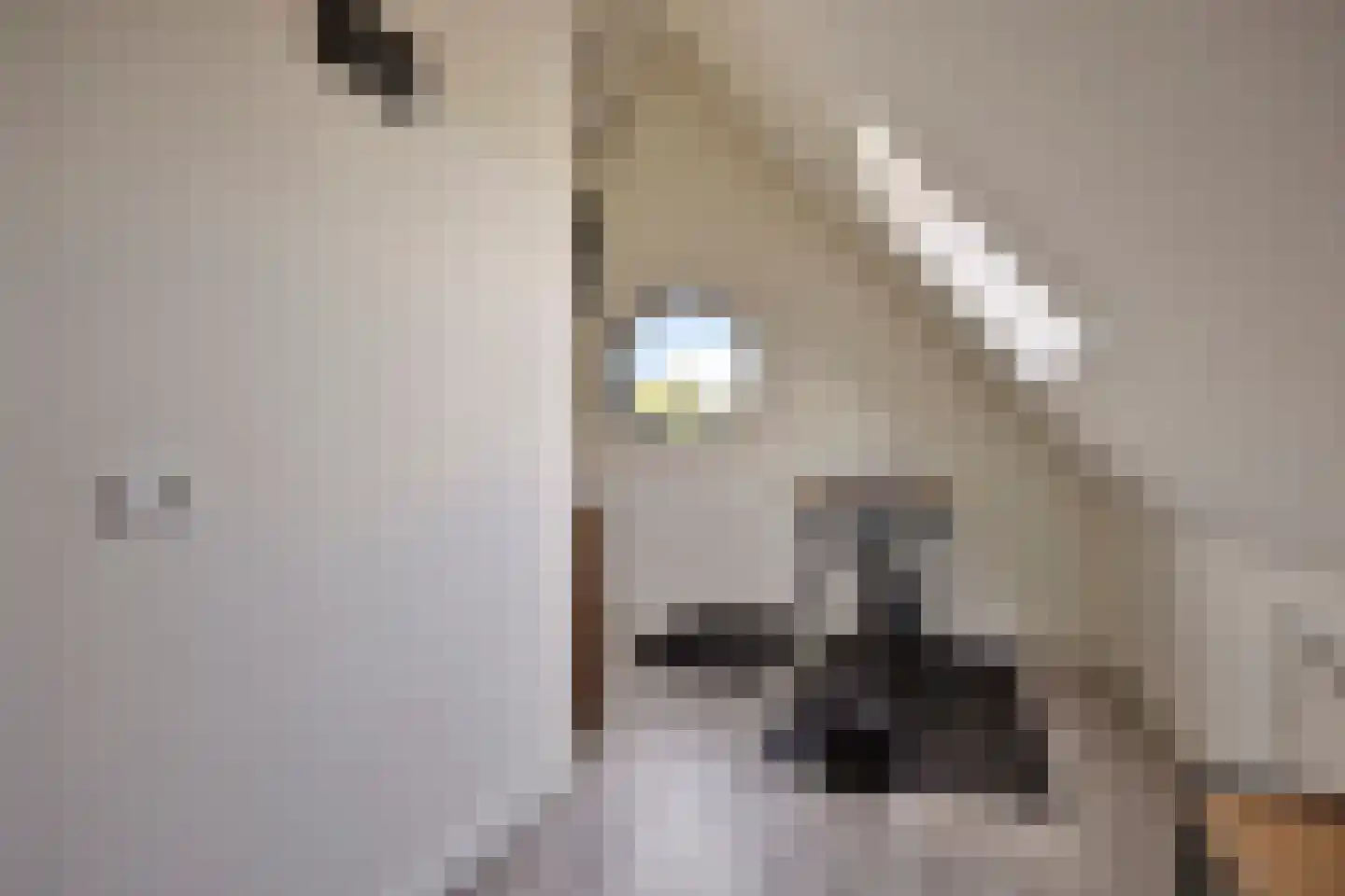 op den Duyn 31 Hoogerheide thumbnail 35