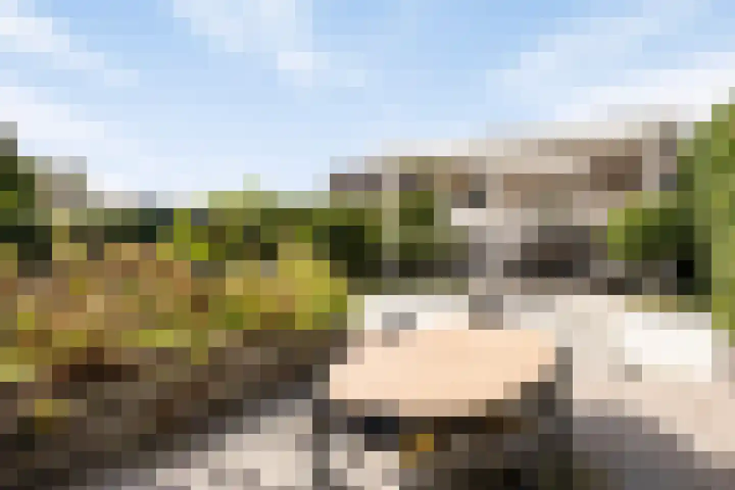 op den Duyn 31 Hoogerheide thumbnail 39