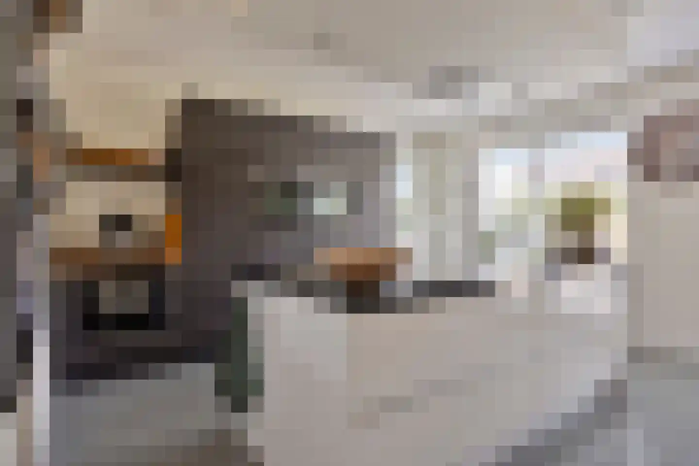 op den Duyn 31 Hoogerheide thumbnail 4