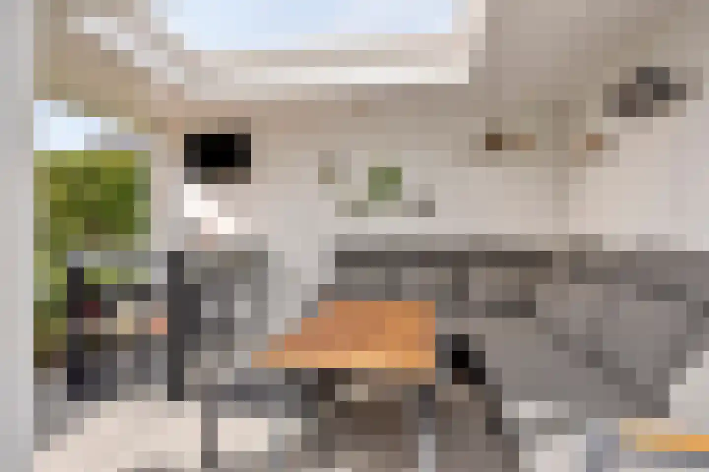 op den Duyn 31 Hoogerheide thumbnail 40